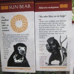Sun Bear plaque